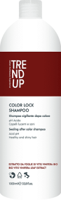 Trend Up - Champú COLOR LOCK para cabellos teñidos 1000 ml