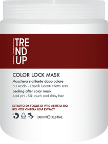 Trend Up - Mascarilla COLOR LOCK para cabellos teñidos 1000 ml