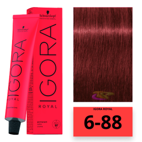 Schwarzkopf - Coloration Igora Royal 6/88 Dunkelblond Rot Intensiv 60 ml